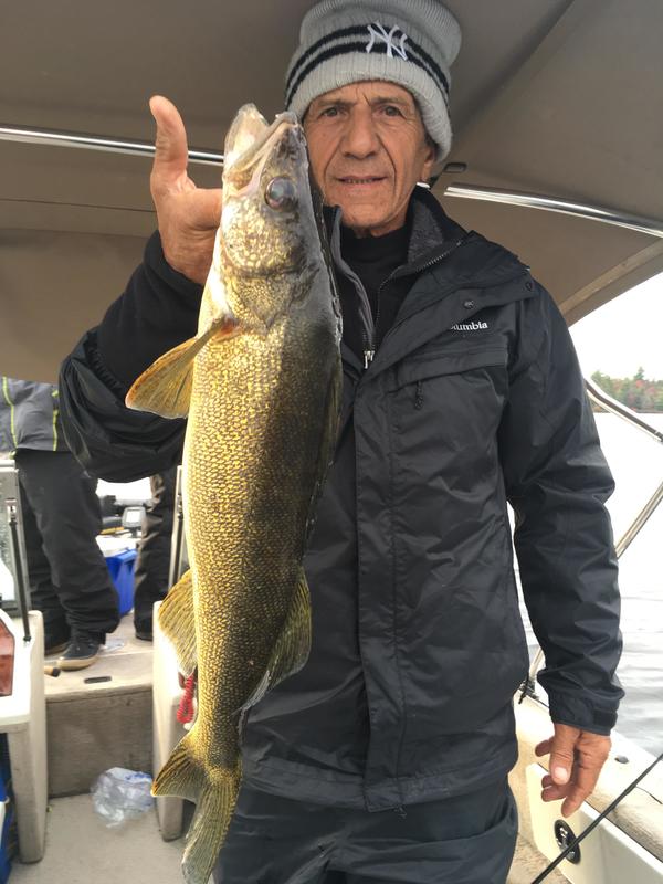 The Ultimate Late Fall Bay of Quinte Walleye Fishing Guide - Fish'n Canada